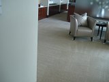 lavage presssion tapis 3.JPG